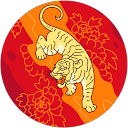 Prince Kumar profile picture